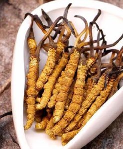 ĐÔNG TRÙNG HẠ THẢO NGUYÊN CON KHÔ- 10Gram